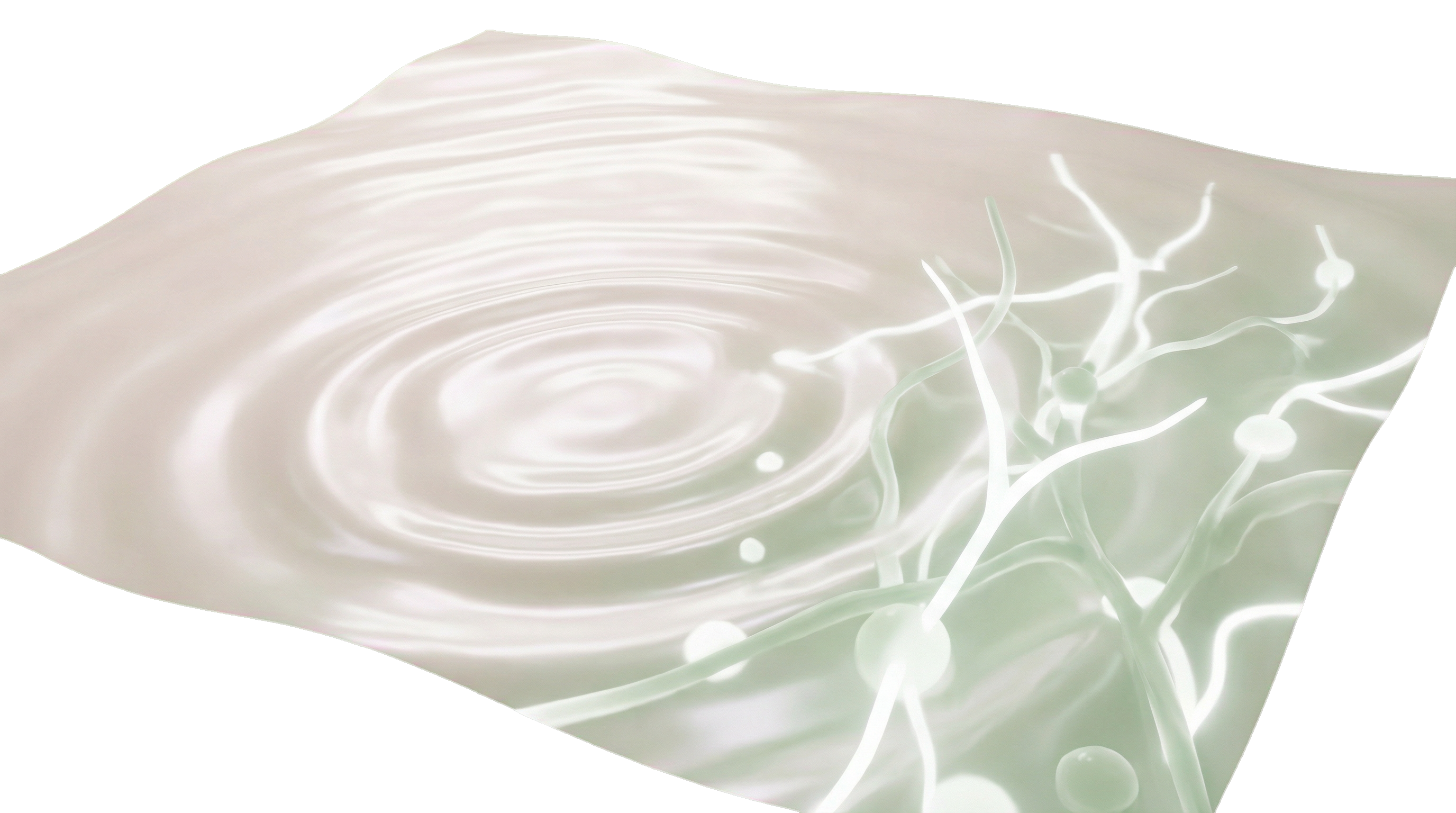 Skin Rejuvenation